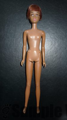 Black Francie
ec, Haare geschnitten, Beine knicken nicht 550
